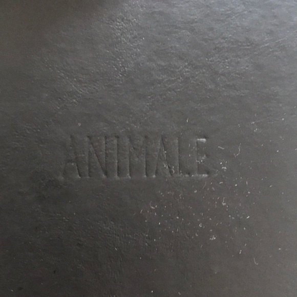 Animale Statement Earrings - Picture 2 of 4